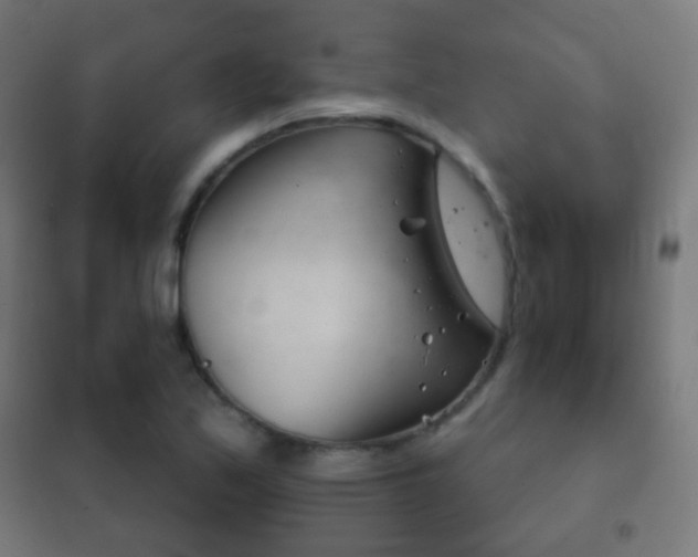 X0000102241171200807250831