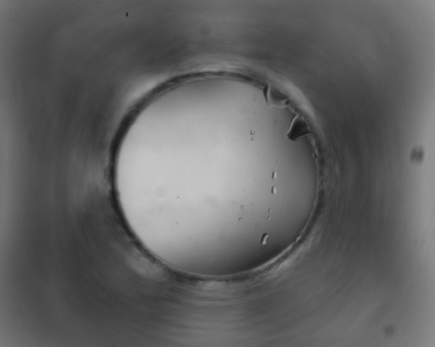 X0000102241172200807250831