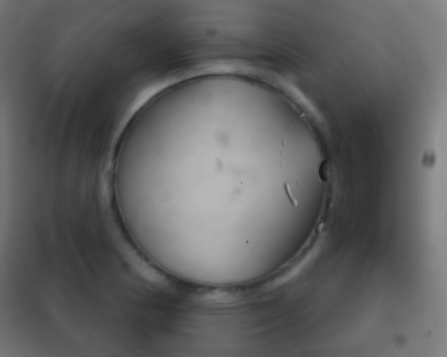X0000102241178200807250831