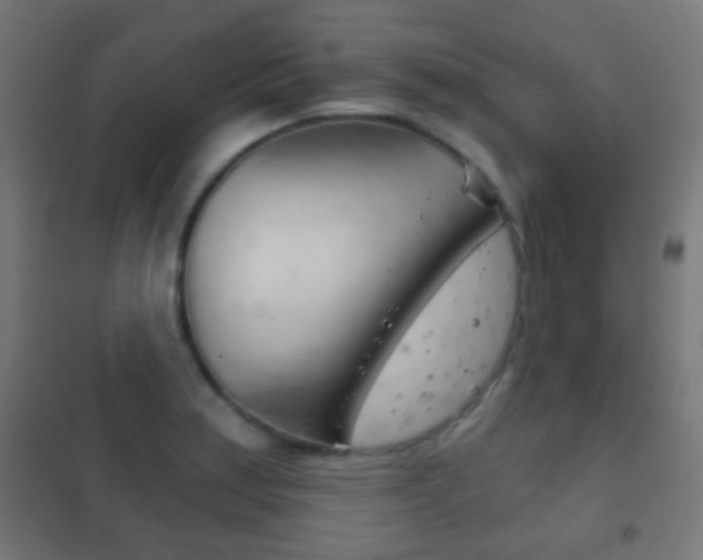 X0000102241179200807250831