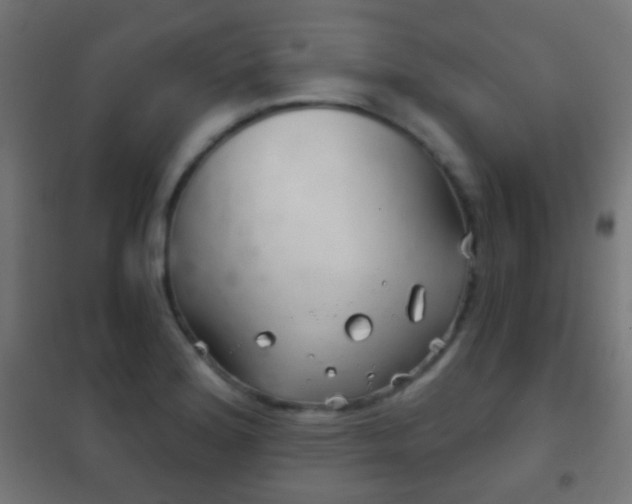 X0000102241180200807250831
