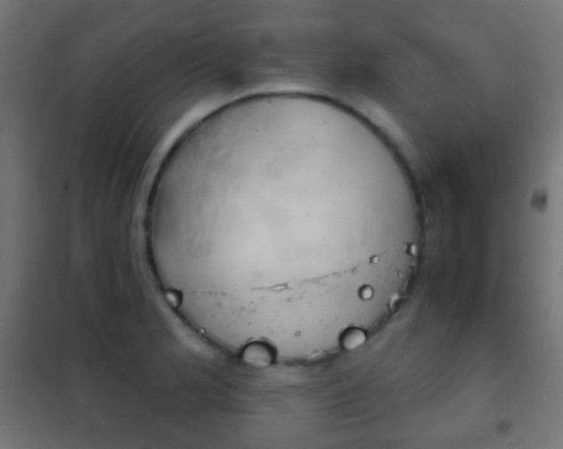X0000102241181200807250831
