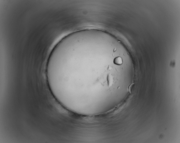 X0000102241182200807250831