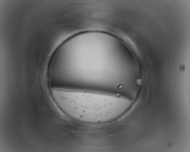 X0000102241184200807250831