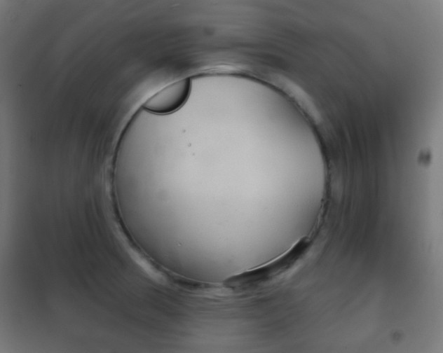 X0000102241186200807250830