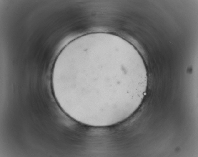 X0000102241187200807250830