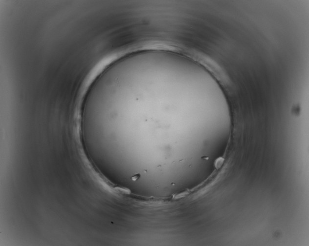 X0000102241188200807250830