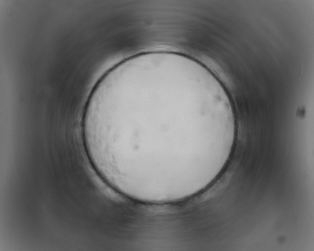 X0000102241189200807250830