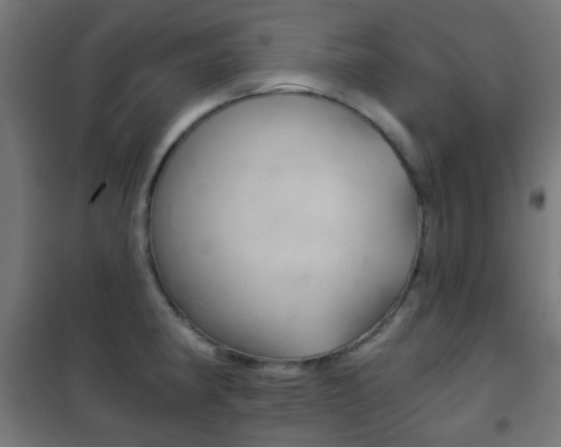 X0000102241190200807250830