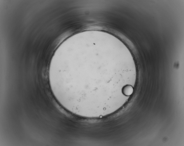 X0000102241193200807250830