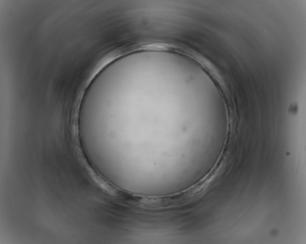 X0000102241194200807250830