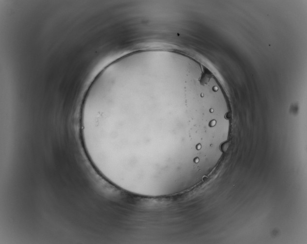 X0000102241195200807250830