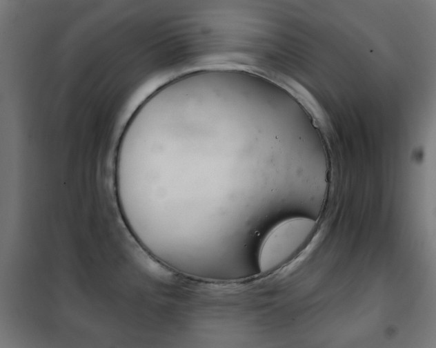X0000102241196200807250830