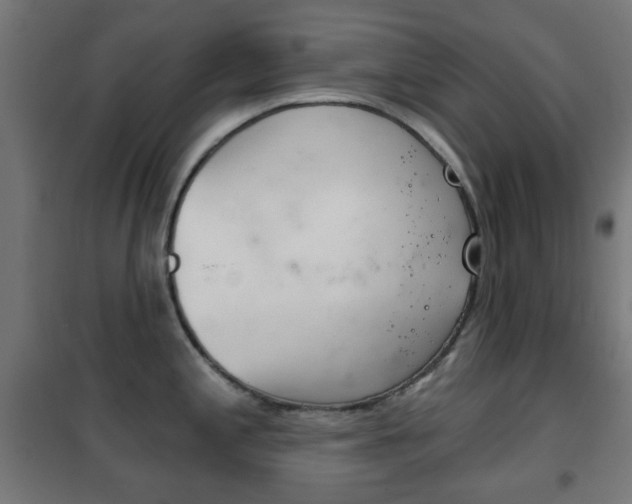 X0000102241197200807250830