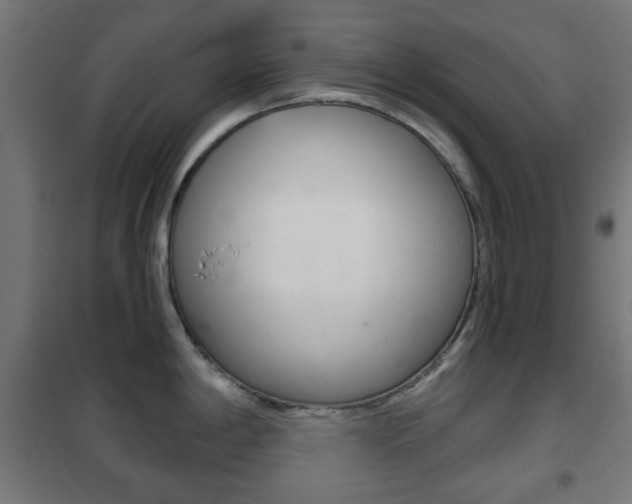 X0000102241198200807250830