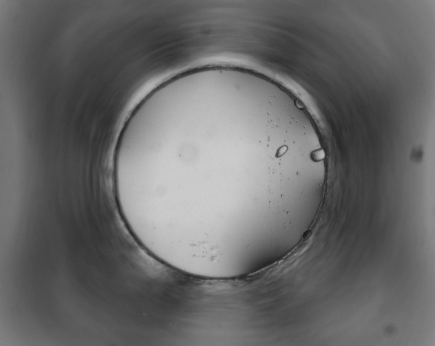 X0000102241199200807250830