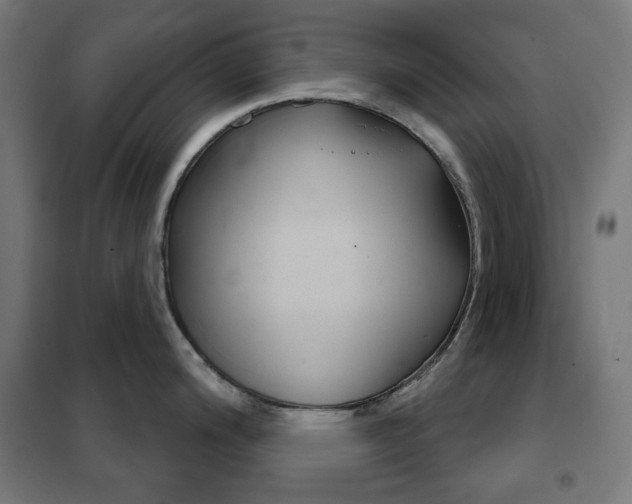 X0000102241200200807250830