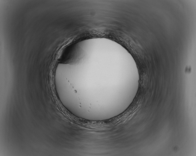 X0000102241201200807250829