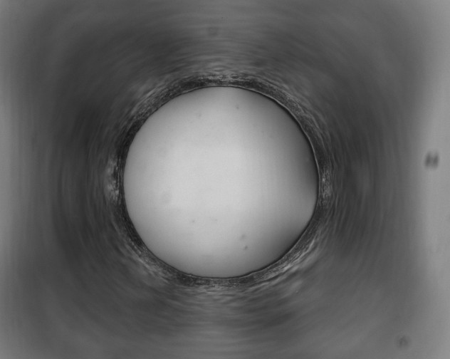 X0000102241202200807250829