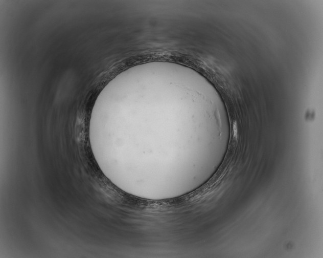X0000102241203200807250829