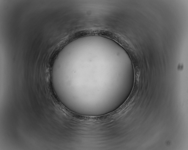 X0000102241204200807250829