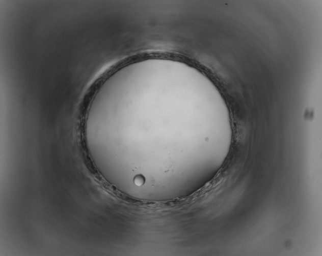 X0000102241208200807250829