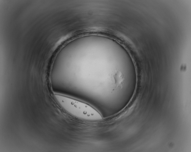 X0000102241210200807250829
