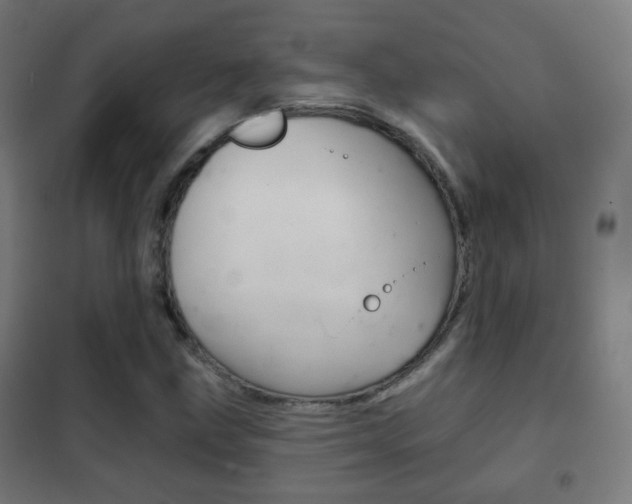 X0000102241211200807250829