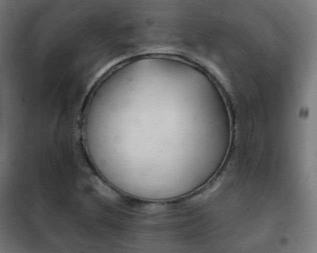 X0000102241212200807250830
