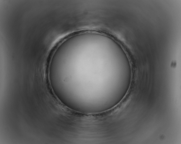 X0000102241214200807250830