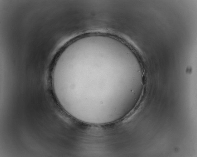 X0000102241215200807250830