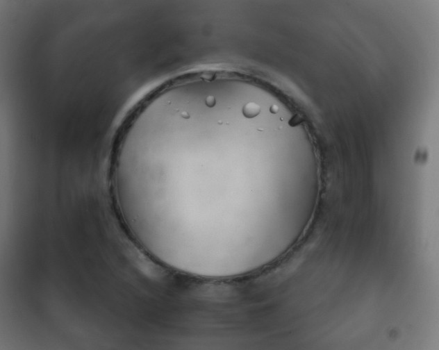 X0000102241216200807250830