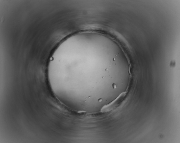 X0000102241217200807250830