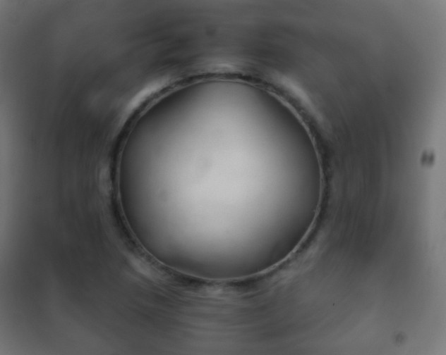 X0000102241218200807250830