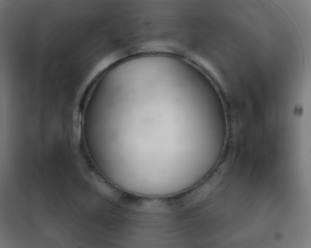 X0000102241219200807250830