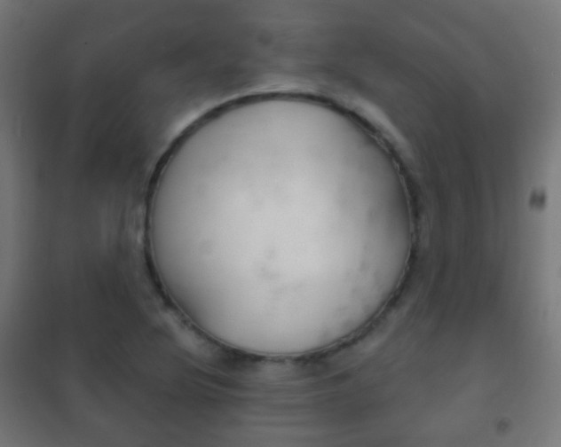 X0000102241220200807250830