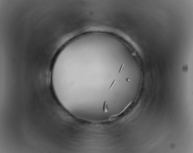 X0000102241221200807250830