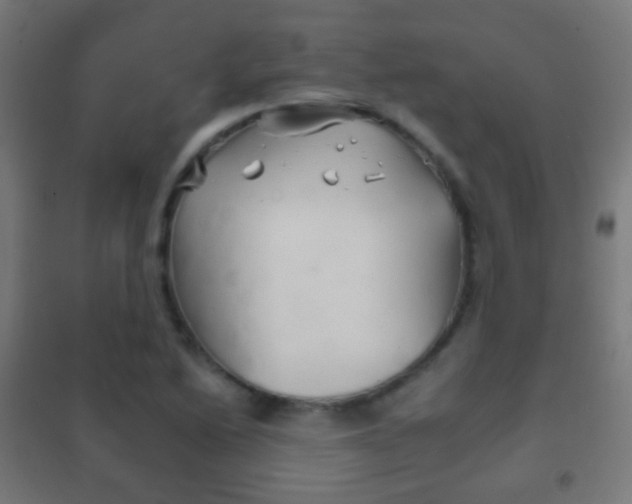 X0000102241222200807250830