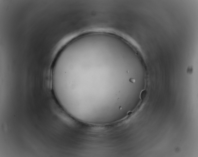 X0000102241223200807250830