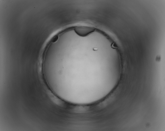 X0000102241224200807250830
