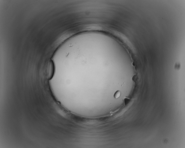 X0000102241225200807250830