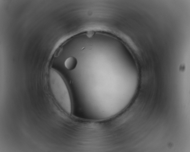 X0000102241226200807250830