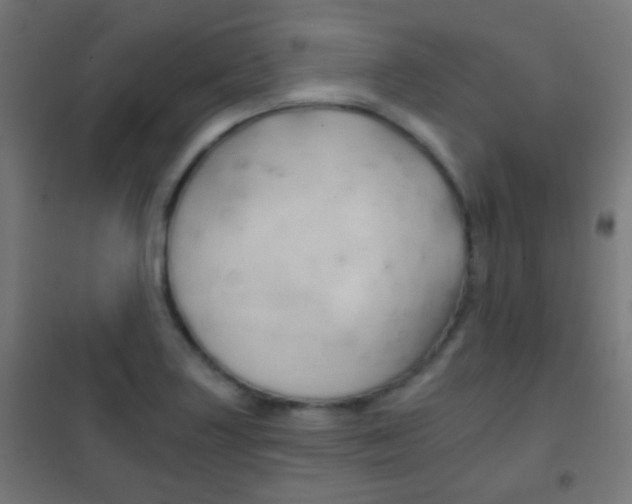 X0000102241227200807250830