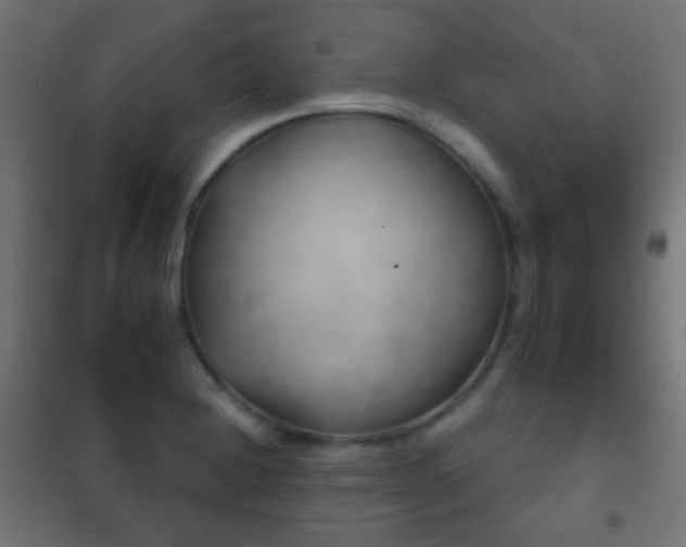 X0000102241228200807250830