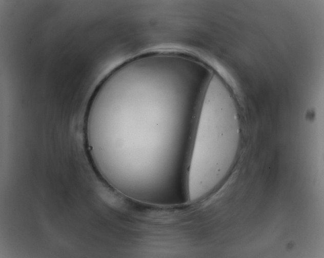 X0000102241229200807250830