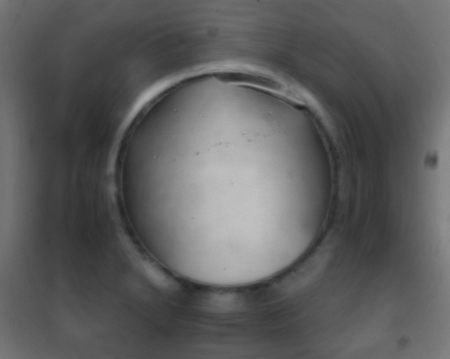 X0000102241230200807250830