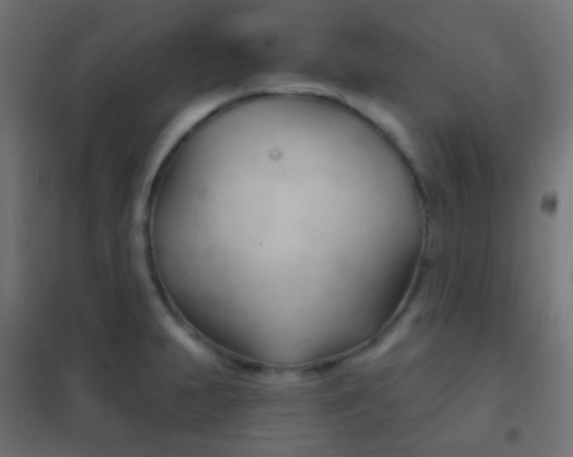 X0000102241231200807250830