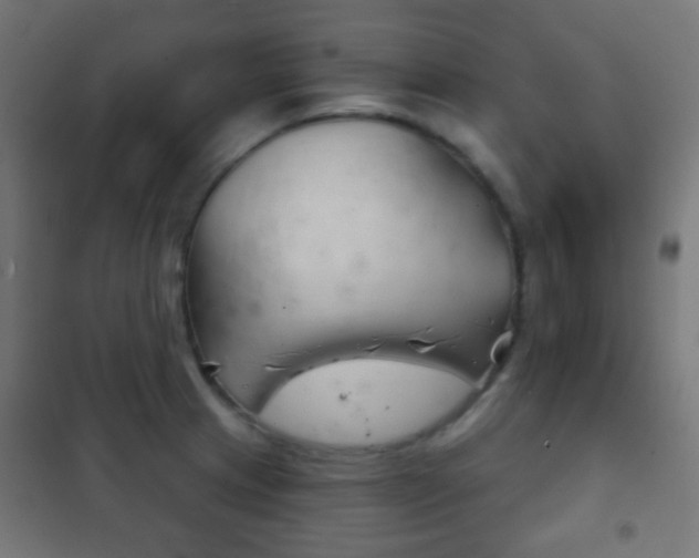 X0000102241233200807250830