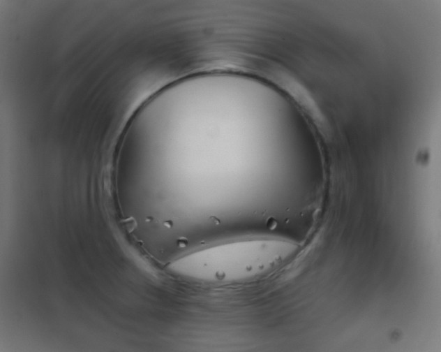 X0000102241234200807250830