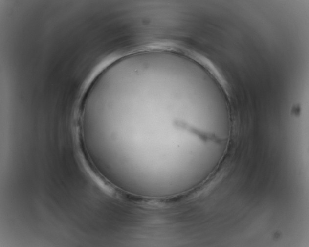 X0000102241235200807250830
